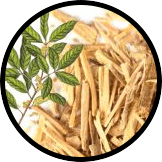 Muira Pauma Bark Extract